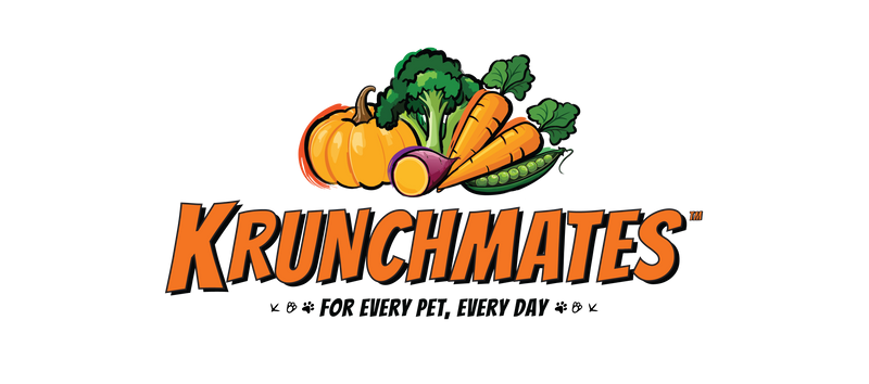 DAY 4 – Leo’s Hypothyroid Suspicion Phase