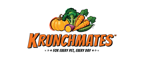 DAY 11 – Leo’s Random Leg Allergy Apocalypse (Round 1)