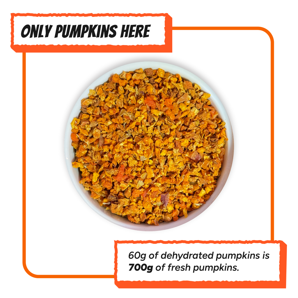 Close-up of dehydrated pumpkin dog food topper by Krunchmates, single-ingredient air-dried pumpkin pieces in white bowl