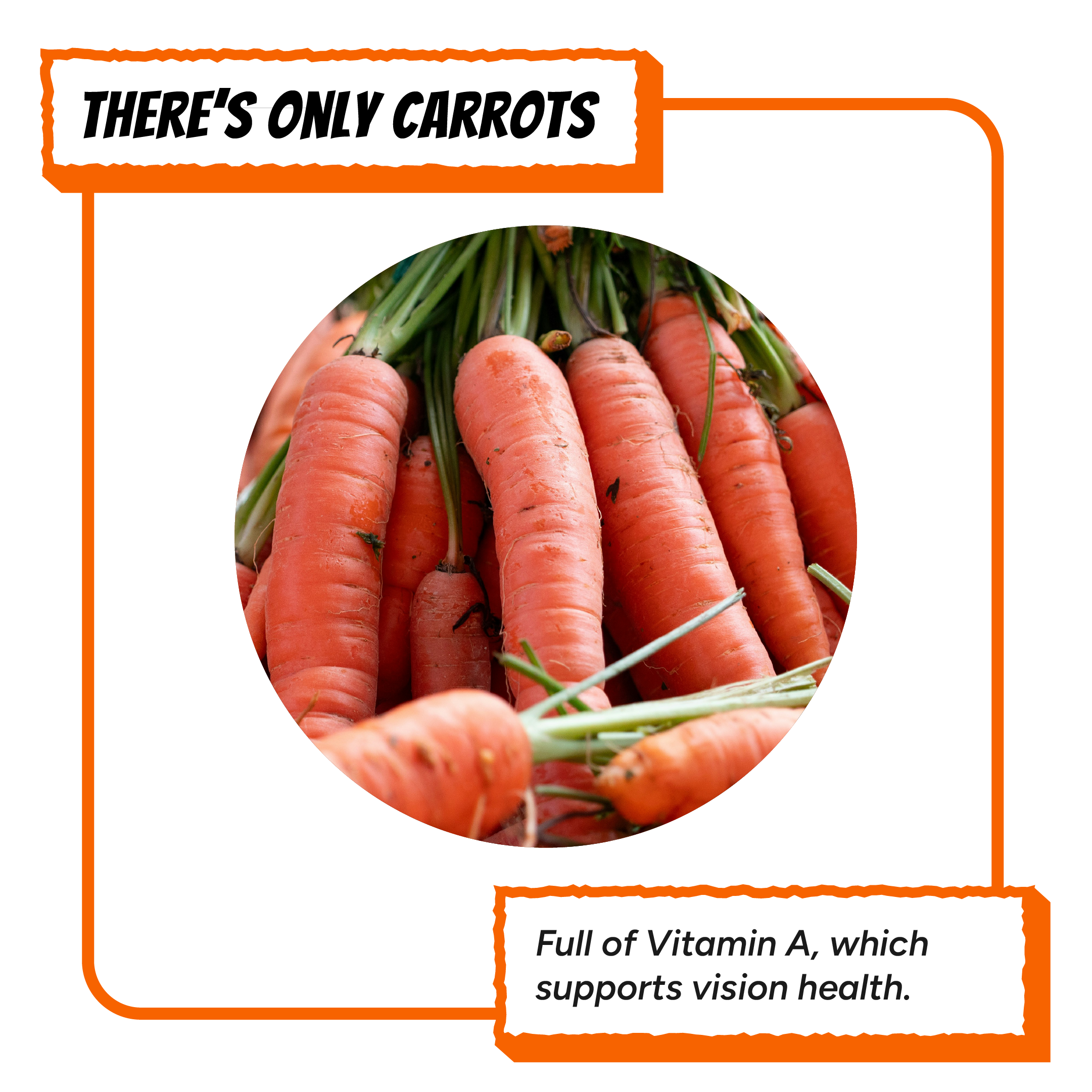 Fresh whole carrots highlighting the single ingredient used in Krunchmates carrot dog food topper