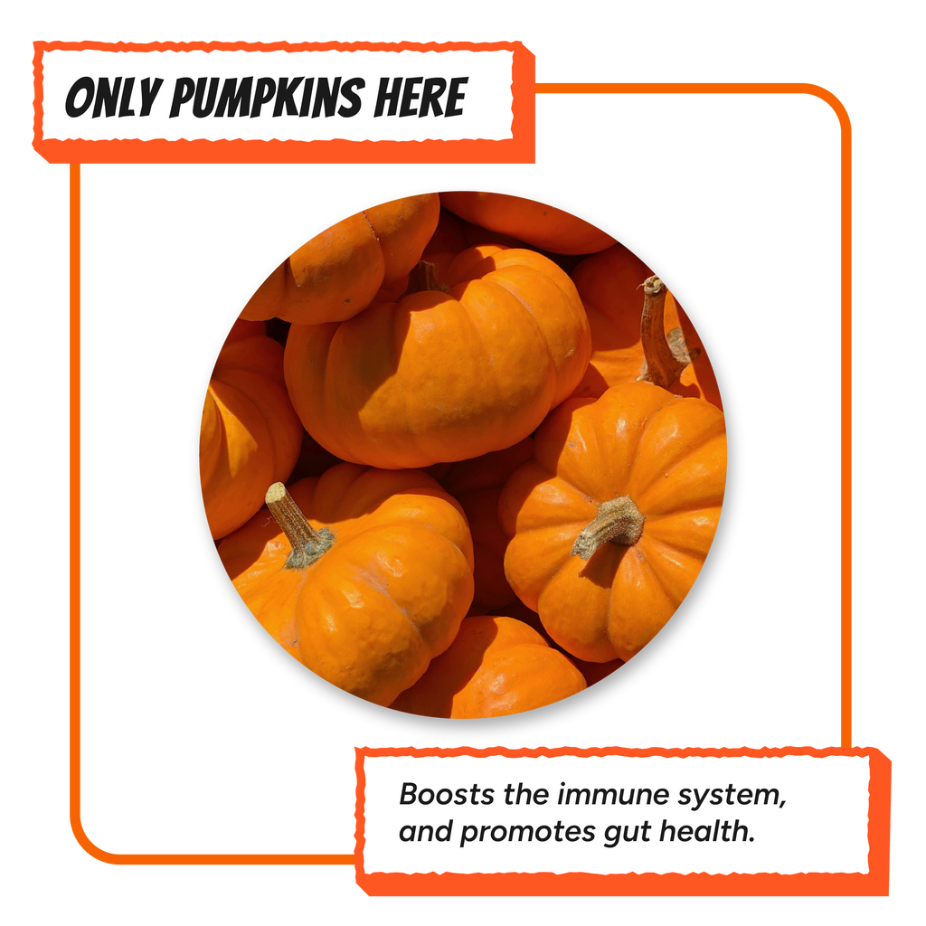 Fresh whole pumpkins highlighting the single ingredient used in Krunchmates pumpkin dog food topper