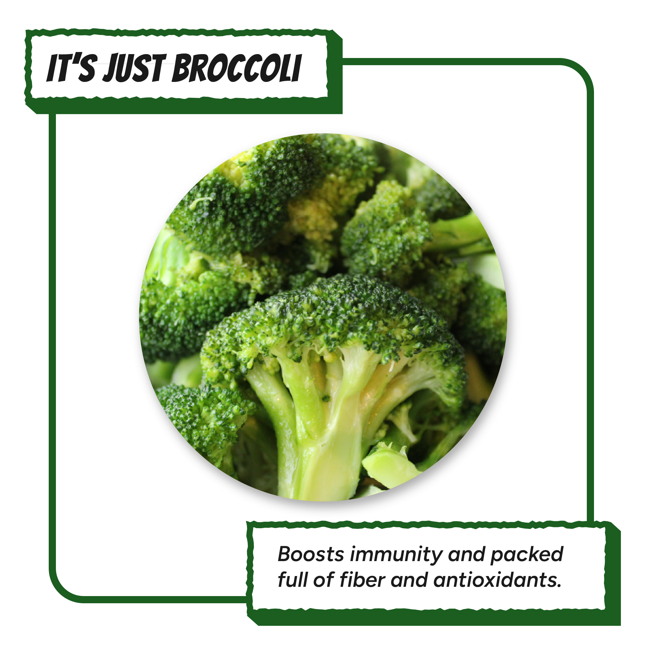 Brocco Brocster